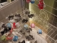 -巴音浩日娲·蒙餐(双林东路店)