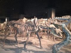android_upload_pic-大庆市博物馆