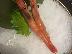 -極上萬膳·日料放题(海岸城店)