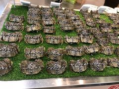 -Olé精品超市(北京合生汇店)