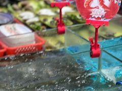 -润园四季椰子鸡火锅(南山海岸城店)