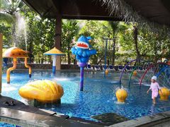 -亚马逊丛林水乐园