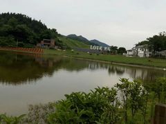 -铁山坪森林公园