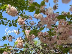 -济南国际园博园