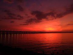 -宝安西湾红树林湿地公园