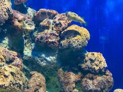 -福州罗源湾海洋世界旅游区