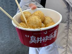 -黑色经典臭豆腐·湖南特产(坡子街店)