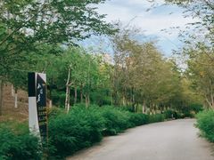 -小绿谷公园