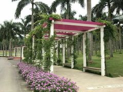 -南宁花花大世界景区