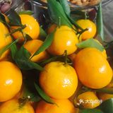 吃水果 比吃饭贵