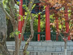 -莲湖公园