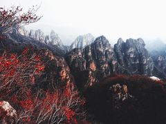 -狼牙山风景区