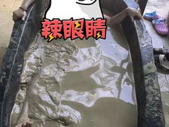 -100蛋泥浆浴