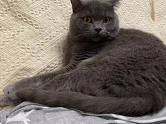 -醉长安(钟楼旗舰店)