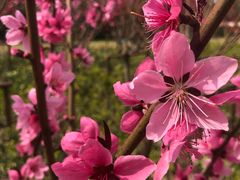 -上海市龙华烈士陵园