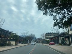 -大唐贡茶院