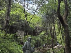 -王顺山国家森林公园