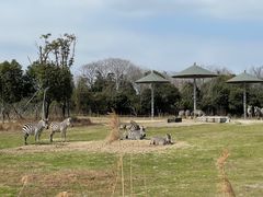 -宁波野生动物园