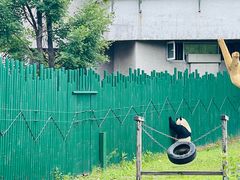 -沈阳森林动物园