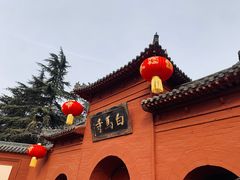 -洛阳白马寺