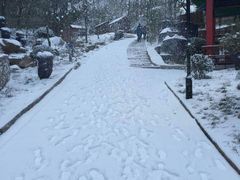 android_upload_pic-竹子庵公园