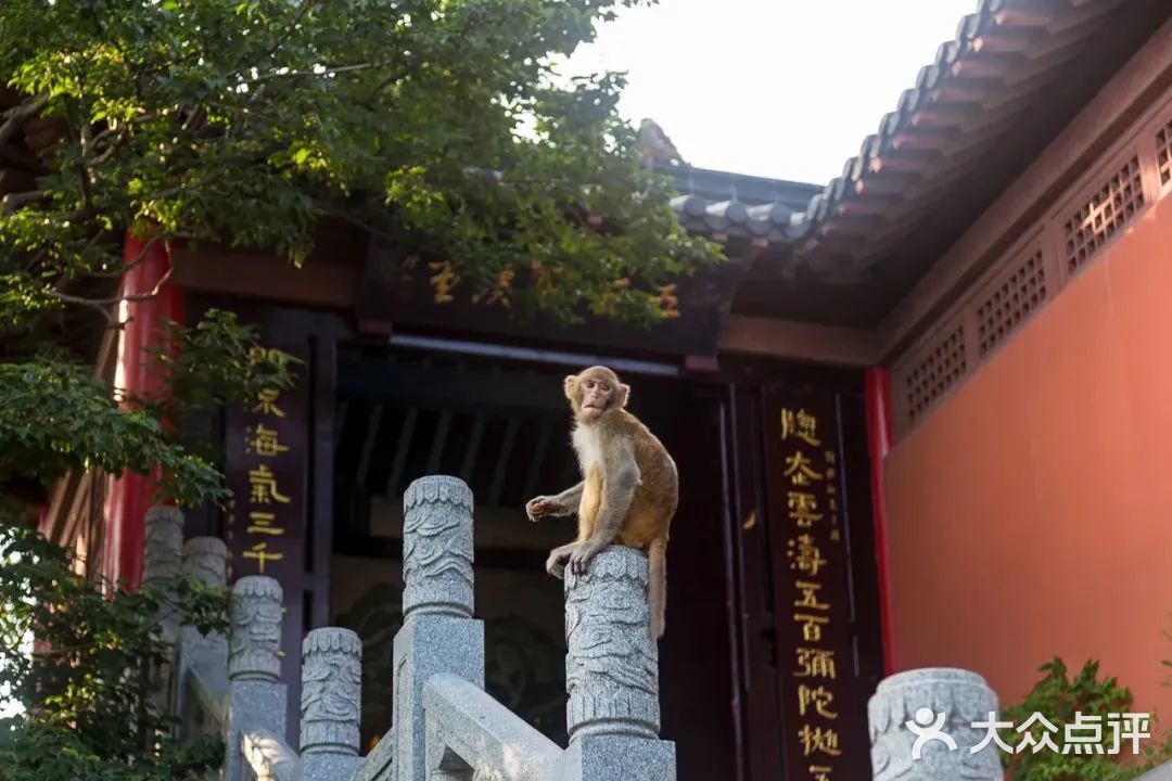 花果山