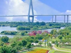 -芒洲湿地公园