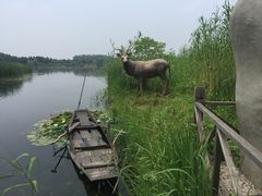 -溱湖国家湿地公园