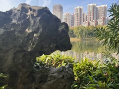 -堤角公园