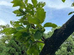 -白塘生态植物园