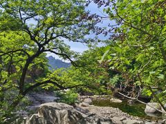 -崂山九水游览区