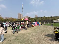 -菊园百果园