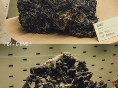 -浙江自然博物院(杭州馆)