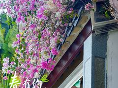 -深圳国际园林花卉博览园