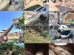 -济南野生动物世界