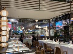 -桂满陇·海市蜃楼·黑金(国金店)