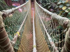 -正佳雨林生态植物园