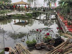 -同銮特种养殖场·龙虾垂钓