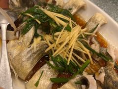 -海派铜锣湾(打浦路店)