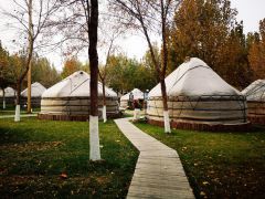 -九十九顶毡房(阜石路店)