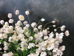 -Sarah西点·烘焙·餐厅(翰林府旗舰店)
