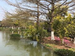 -海珠湖公园