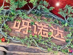 -呀诺达热带雨林