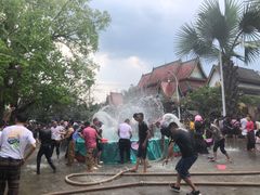 -西双版纳傣族园