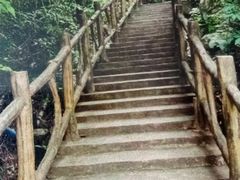 -南丹山森林王国