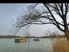 -野鸭湖国家湿地公园