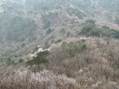 -妙峰山风景名胜区