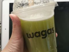 -Wagas沃歌斯(枫蓝国际店)