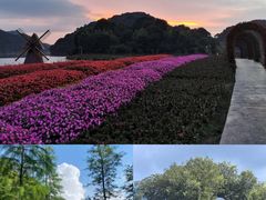 -广州市石门国家森林公园