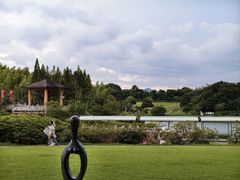 -宜兴龙背山森林公园